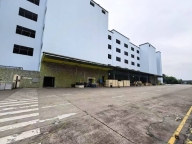 出租：宝安区沙井新桥 107国道旁厂房 面积：33000㎡ 