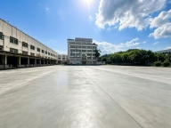 观澜主干道12000㎡物流仓实面，层高11米