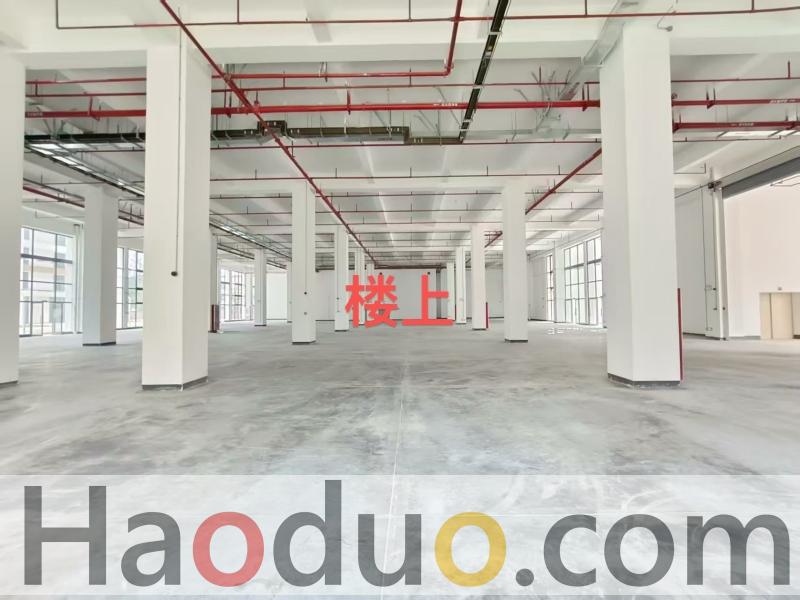 东莞沙田工业上楼65800平厂房招租,出租 东莞沙田工业上楼65800平厂房招租,出租