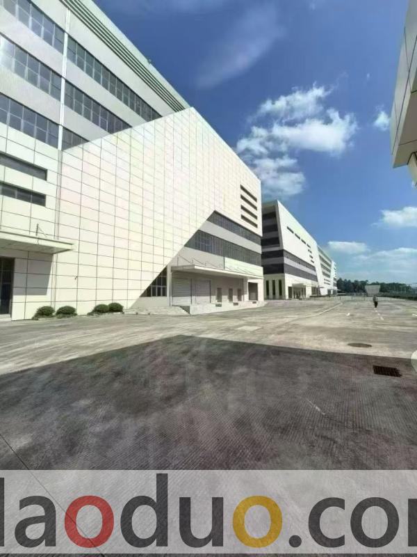 惠阳区良井镇200000平米出租 惠阳区良井镇200000平米出租