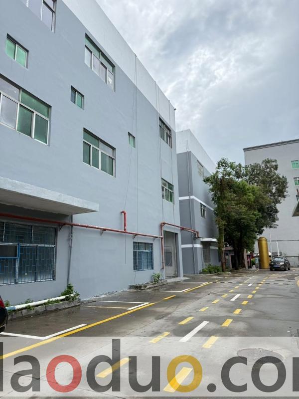 深圳坪山区工业园招租,总面积42392平 深圳坪山区工业园招租,总面积42392平