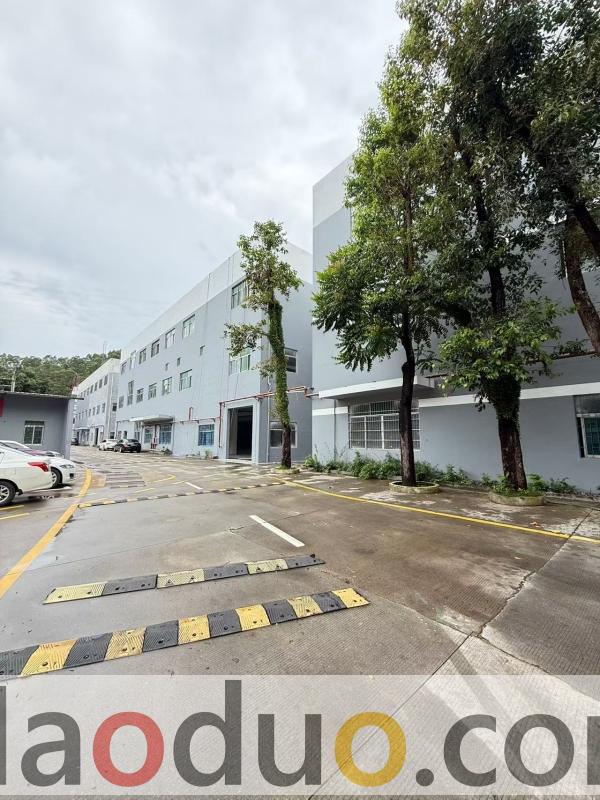 深圳坪山区工业园招租,总面积42392平 深圳坪山区工业园招租,总面积42392平